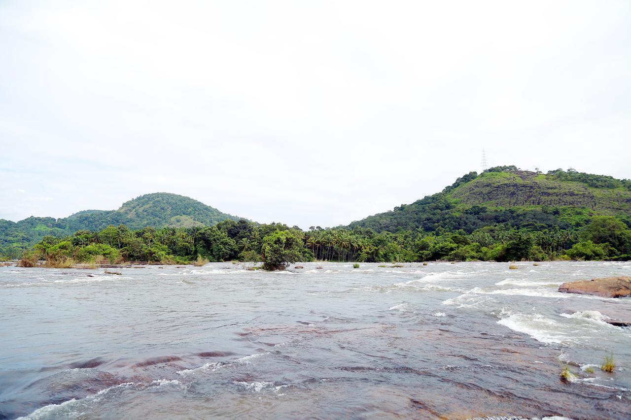 Athirappilly Athirapilly River Resort المظهر الخارجي الصورة